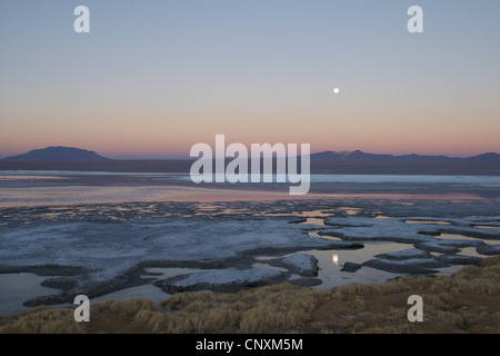 Lever de lune Colorada Lake, la Bolivie, les Andes Banque D'Images