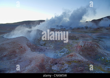 Champ géothermique sol de la Maana, la Bolivie, les Andes Banque D'Images