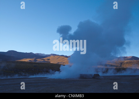 El Tatio geyser le matin, Chili Banque D'Images