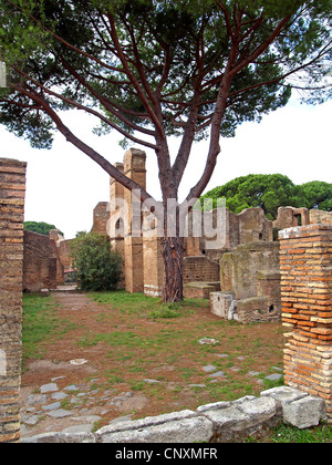 Ruines Romaines d'Ostia Antica, Rome, Banque D'Images