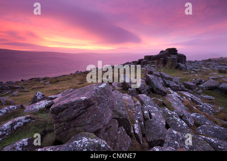 Rose spectaculaire lever du soleil au-dessus de Belstone Tor, Dartmoor, dans le Devon, Angleterre. L'hiver (Janvier) 2012. Banque D'Images