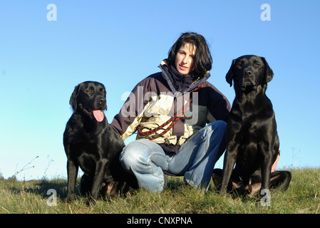 Labrador Retriever (Canis lupus f. familiaris), jeune femme accroupie entre deux chiens Banque D'Images