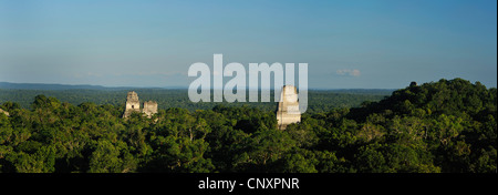 Les pyramides de la ville maya Tikal s'élevant hors de la forêt environnante, le Guatemala, Tikal Banque D'Images