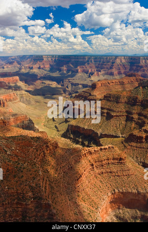 Vue de Grand Canyon, USA, Arizona, Grand Canyon National Park Banque D'Images