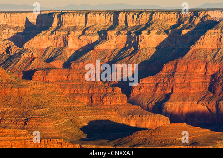 Ombre et lumière à des murs de pierre de Grand Canyon, USA, Arizona, Grand Canyon National Park Banque D'Images