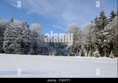 Paysage d'hiver avec la neige champ en face de forêt mixte, Allemagne, Bavière, Haut-Palatinat Banque D'Images