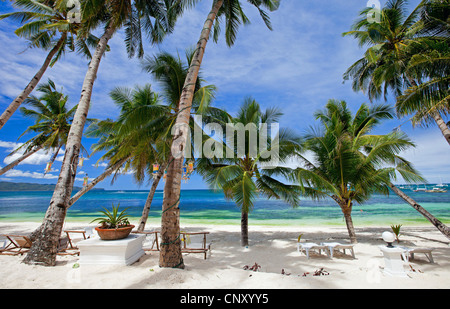 Plage tropicale avec palmiers, Philippines, Boracay Banque D'Images