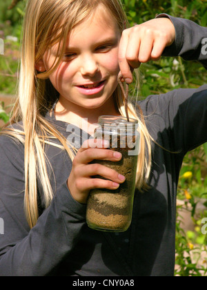 Ver de terre commun, ver de terre, ver de lob, rosée worm, Ver squirreltail twachel, Lumbricus (spec.), fille de placer un ver de terre dans un verre, rempli d'une couche de terre, Allemagne Banque D'Images