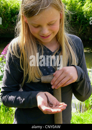 Ver de terre commun, ver de terre, ver, ver rosée lob (Lumbricus spec.), girl holding une earthwom dans sa main, Allemagne Banque D'Images