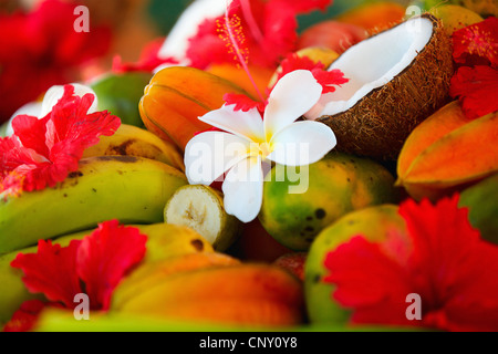 Plusieurs de coco et fruits tropicaux décoré de fleurs d'hibiscus et frangipanier Banque D'Images