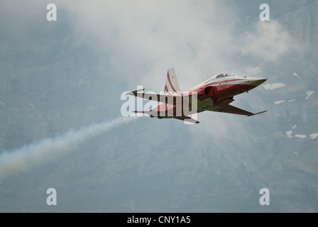 Patrouille Suisse avec jets Tiger lors d'un show aérien en Suisse, 2009 Mollis Banque D'Images