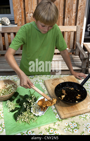 L'aîné, le Sureau noir européen commun, ancien (Sambucus nigra), les inflorescences sont trempé dans la pâte et frites, Allemagne Banque D'Images