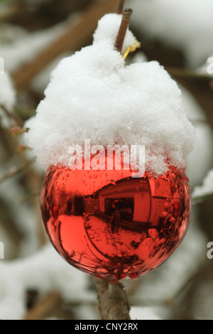 Boule de Noël sur un arbre de Noël neige Banque D'Images