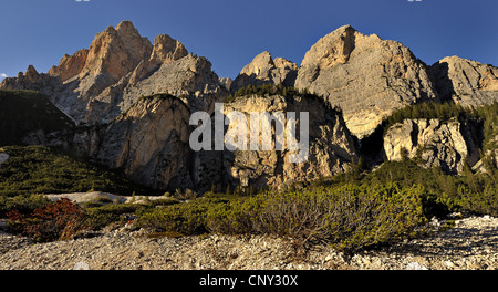 Lumière du soir sur le Piz Dles Conturines cliffs de Punt de Sciare, Italie, Dolomites Banque D'Images