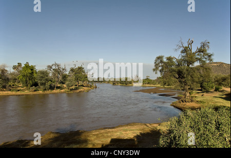 D'Ewaso N'giro, Kenya, Samburu National Reserve Banque D'Images