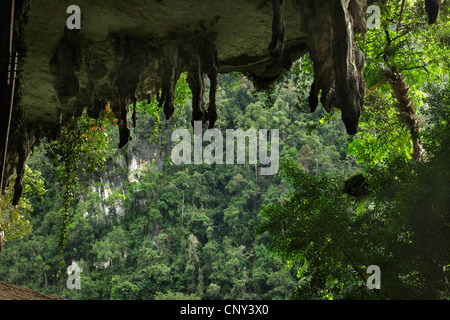 Vue depuis Les Grottes de la forêt de l'INAH, Malaisie, Bornéo, Sarawak, l'INAH Banque D'Images