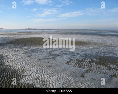 Frosty Noth coa dans Niedersaechsisches la Mer du parc national de Wattenmeer, ALLEMAGNE, Basse-Saxe, Frise Orientale, Bensersiel Banque D'Images