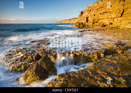 Marée montante des éclaboussures sur les corniches à Seacombe sur la côte jurassique, Dorset, Angleterre. L'automne (novembre) 2007. Banque D'Images