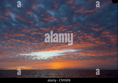 L'altocumulus nuages sur l'océan Pacifique au coucher du soleil, de l'Équateur, Îles Galápagos Banque D'Images