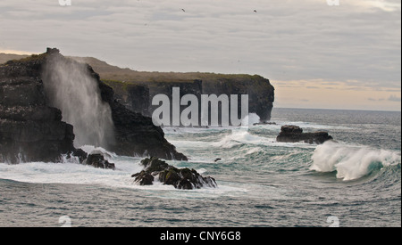 Énorme houle se briser contre la côte rocheuse, l'Équateur, Îles Galápagos, Espanola Banque D'Images