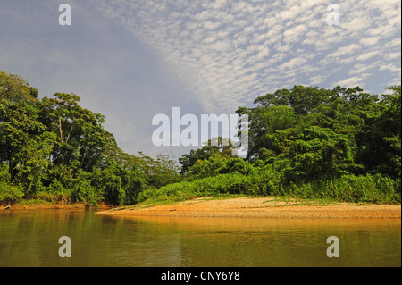 River Bend dans la forêt tropicale, le Honduras, La Mosquitia, Las Marias Banque D'Images