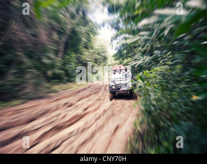 Une route boueuse au Belize's Rainforest Chiquibul Banque D'Images