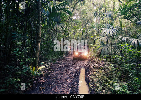 Monkey river trail, Belize Banque D'Images