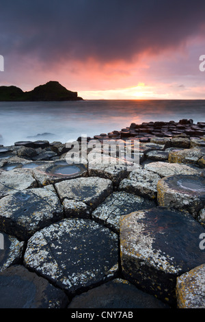 Coucher du soleil sur la Chaussée des Géants, le comté d'Antrim, en Irlande du Nord. Septembre 2008 Banque D'Images