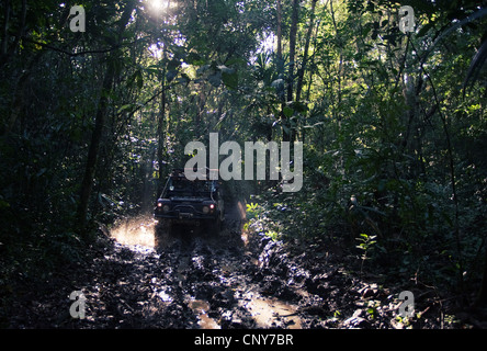 Monkey river trail, Belize Banque D'Images