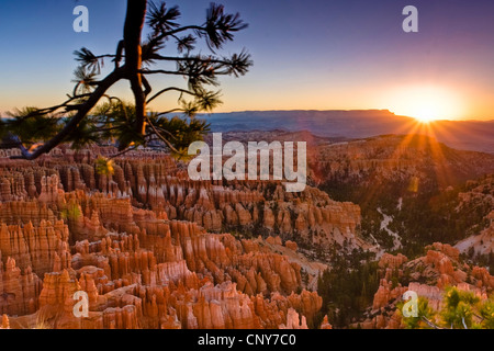 Bryce amphitheater avec cheminées de 'Silent' Ville au lever du soleil, vue de l'Inspiration Point, USA, Utah, Bryce Canyon National Park, Colorado Plateau Banque D'Images