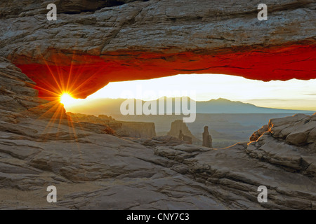 Mesa Arch au lever du soleil, USA, Utah, Canyonlands National Park Banque D'Images