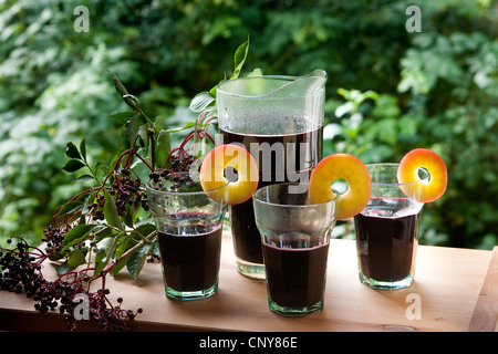 L'aîné, le Sureau noir européen commun, ancien (Sambucus nigra), Verres à jus aîné noir avec des tranches de pomme Banque D'Images