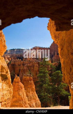 Voir à travers la roche en forme de fenêtre bizarrement rock formations at Queens Garden Trail , USA, Utah, Bryce Canyon National Park, Colorado Plateau Banque D'Images