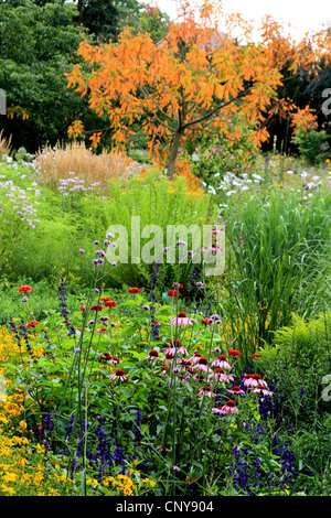 Jardin avec fleurs dans summerr, Allemagne Banque D'Images