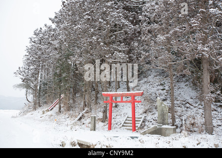 Un temple shinto Torii se trouve dans la neige, près de l'Okawa school, où 74 enfants et 10 enseignants ont perdu la vie, Japon Banque D'Images
