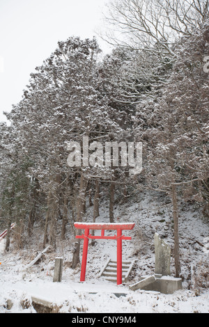 Un temple shinto Torii se trouve dans la neige, près de l'Okawa school, où 74 enfants et 10 enseignants ont perdu la vie, Japon Banque D'Images