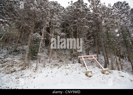 Un temple shinto Torii se trouve dans la neige, près de l'Okawa school, où 74 enfants et 10 enseignants ont perdu la vie, Japon Banque D'Images