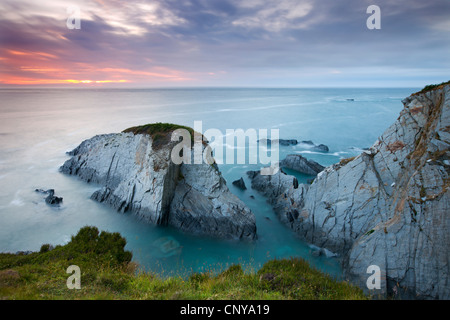 Les falaises de ardoise Point morte au coucher du soleil, Mortehoe, North Devon, Angleterre. En été (juin) 2010. Banque D'Images