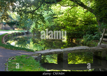 Passerelle sur la pierre d'oeil de la rivière dans le village de Lower Slaughter Cotswolds, Gloucestershire, Angleterre. L'été 2011. Banque D'Images