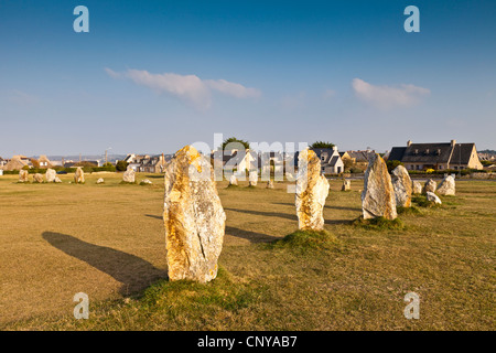 Les pierres dans les alignements de Lagatjar, à la périphérie de Camaret-sur-Mer, Bretagne, France. Banque D'Images