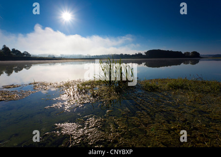 Matin au lac Poehl, Allemagne, Saxe, Vogtland Banque D'Images