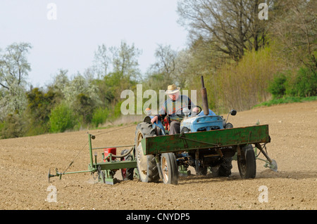 Agriculteur sur un tracteur labourant son acre, Autriche Banque D'Images