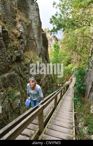 Woman climbing l'escalier en bois à la falaise de "Jons Kapel' près de Hasle, Danemark, Bornholm Banque D'Images