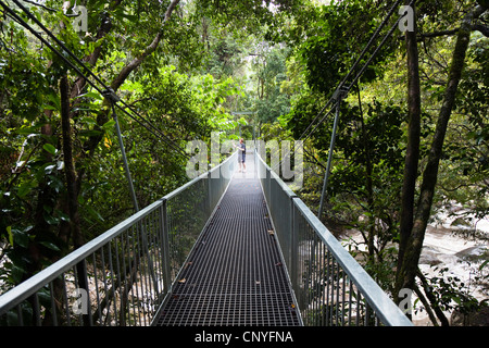 L'homme à prendre des photos sur un pont suspendu sur la rivière dans la forêt tropicale, l'Australie, Queensland, Mossmann Gorge National Park Banque D'Images