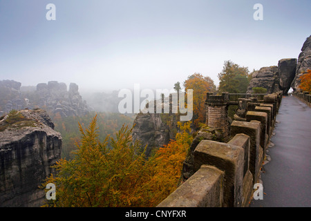 Formation rocheuse Bastei et Bastei pont dans le brouillard du matin, l'Allemagne, la Saxe, le Parc National de la Suisse saxonne Banque D'Images