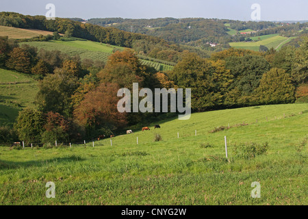 Dans la région de Bergisches Land landcape collection automne, Allemagne, Rhénanie du Nord-Westphalie Banque D'Images