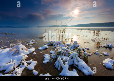 Lever du soleil sur le lac de stockage Poehl en hiver, l'Allemagne, la Saxe, Vogtland Banque D'Images