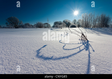 Lever du soleil sur le champ couvert de neige paysage, Allemagne, Saxe, Vogtland, Poehl Banque D'Images