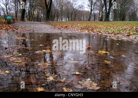 Flaque d'eau après de fortes pluies dans un parc, en Allemagne, en Rhénanie du Nord-Westphalie Banque D'Images