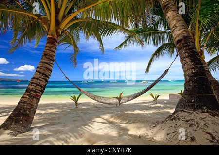 Hamac entre deux palmiers au tropical beach, Boracay, Philippines Banque D'Images